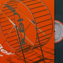 3d Music Vinyl Design For Nobodys Face cover image