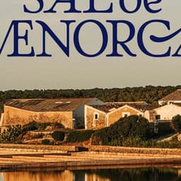 Brand Campaign And Signage For Brain cover image