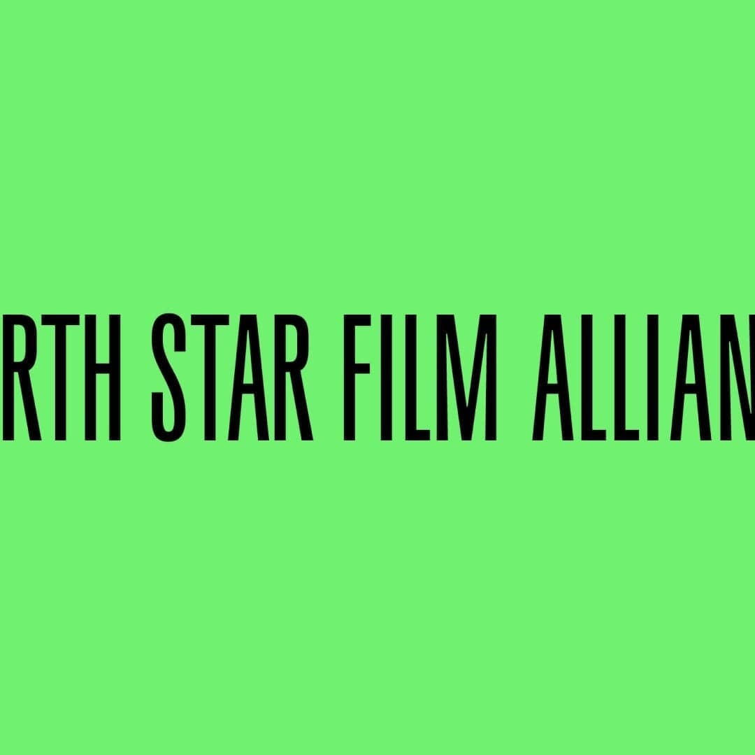 Brand Identity For North Star Film Alliance