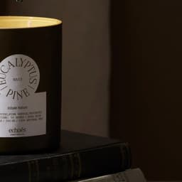 Brand Identity For Echoes Candle Lab cover image