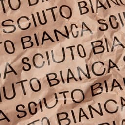 Brand Identity For Bianca Sciuto cover image