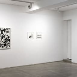 Exhibition Design for Dogs cover image