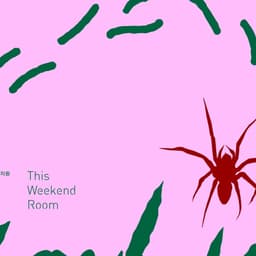 Poster Design for Jihee Kim’s Solo Exhibition cover image