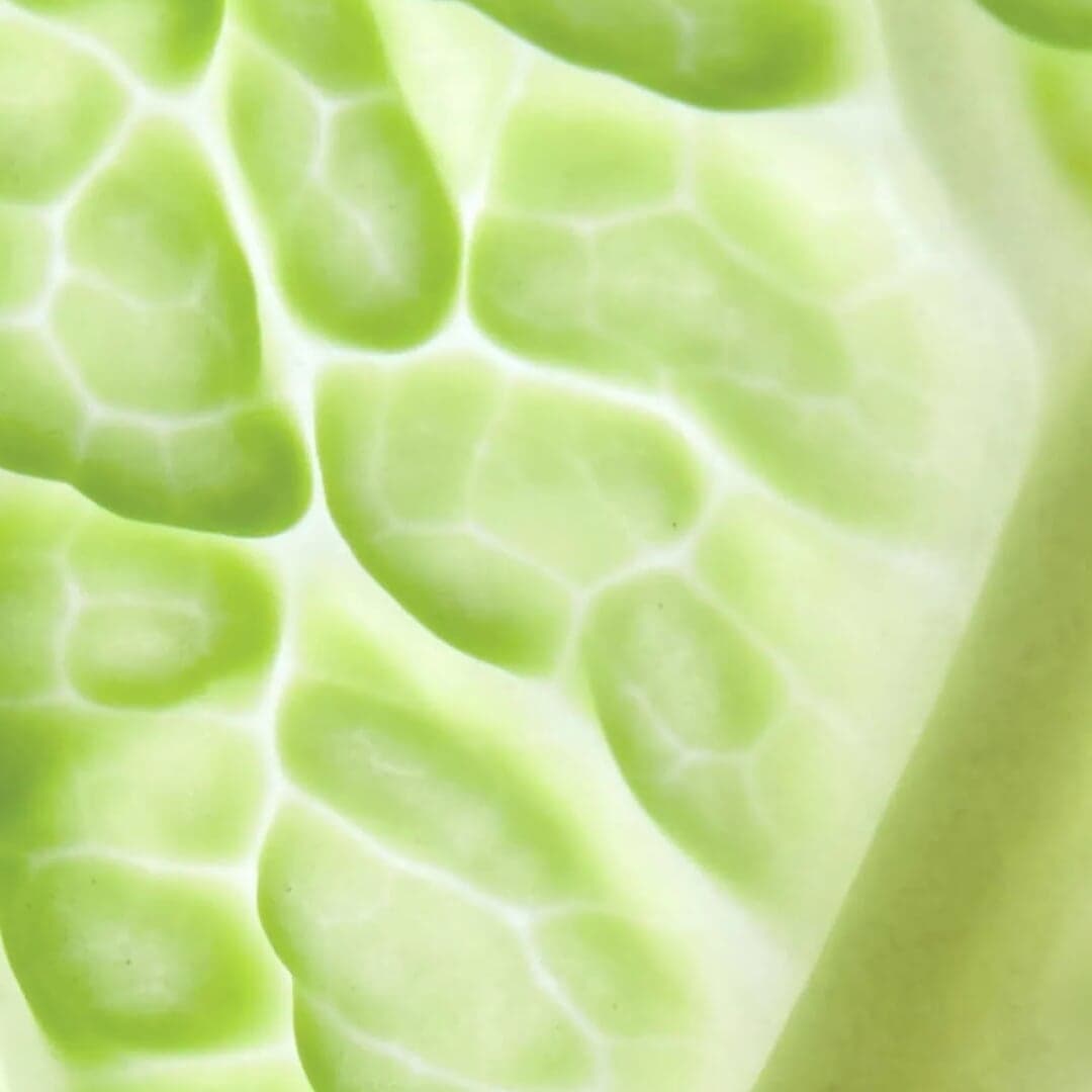 Biophi