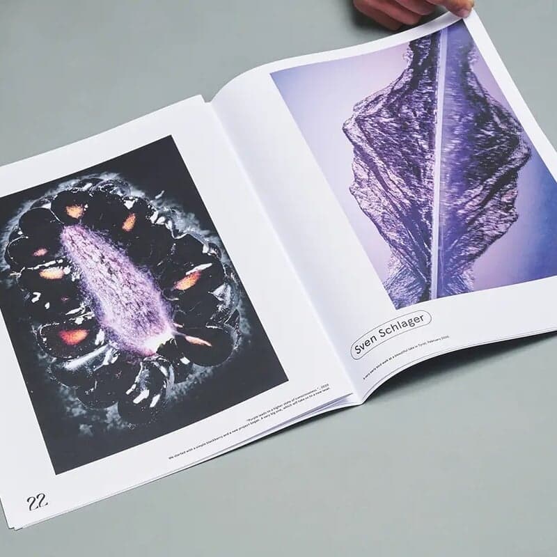 Art Direction for a Bigger Park Magazine