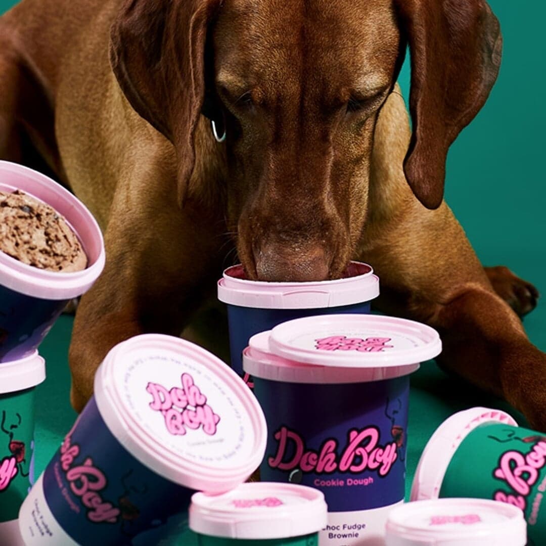 Branding And Packaging For Dohboy Edible Cookie Dough