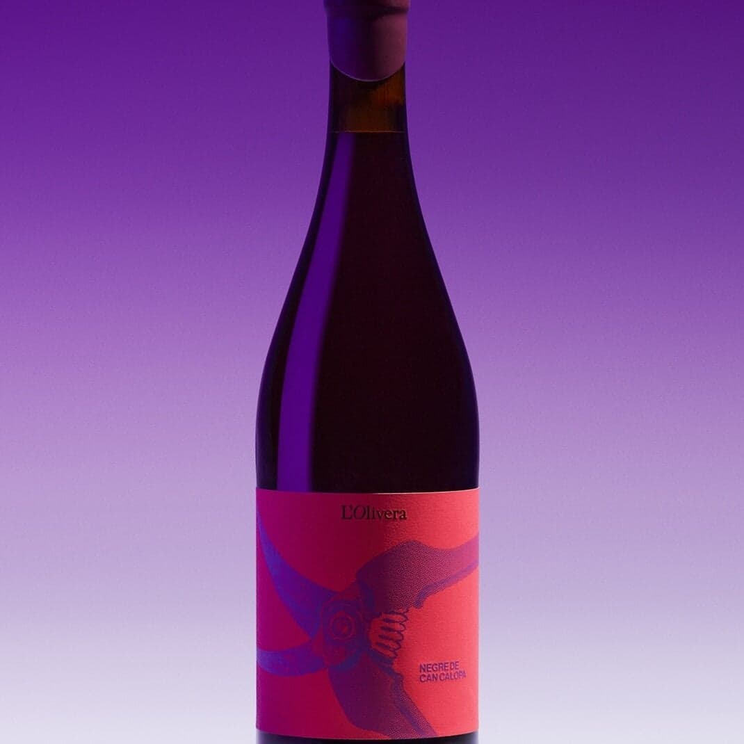 Visual Identity And Packaging For L’olivera Winery
