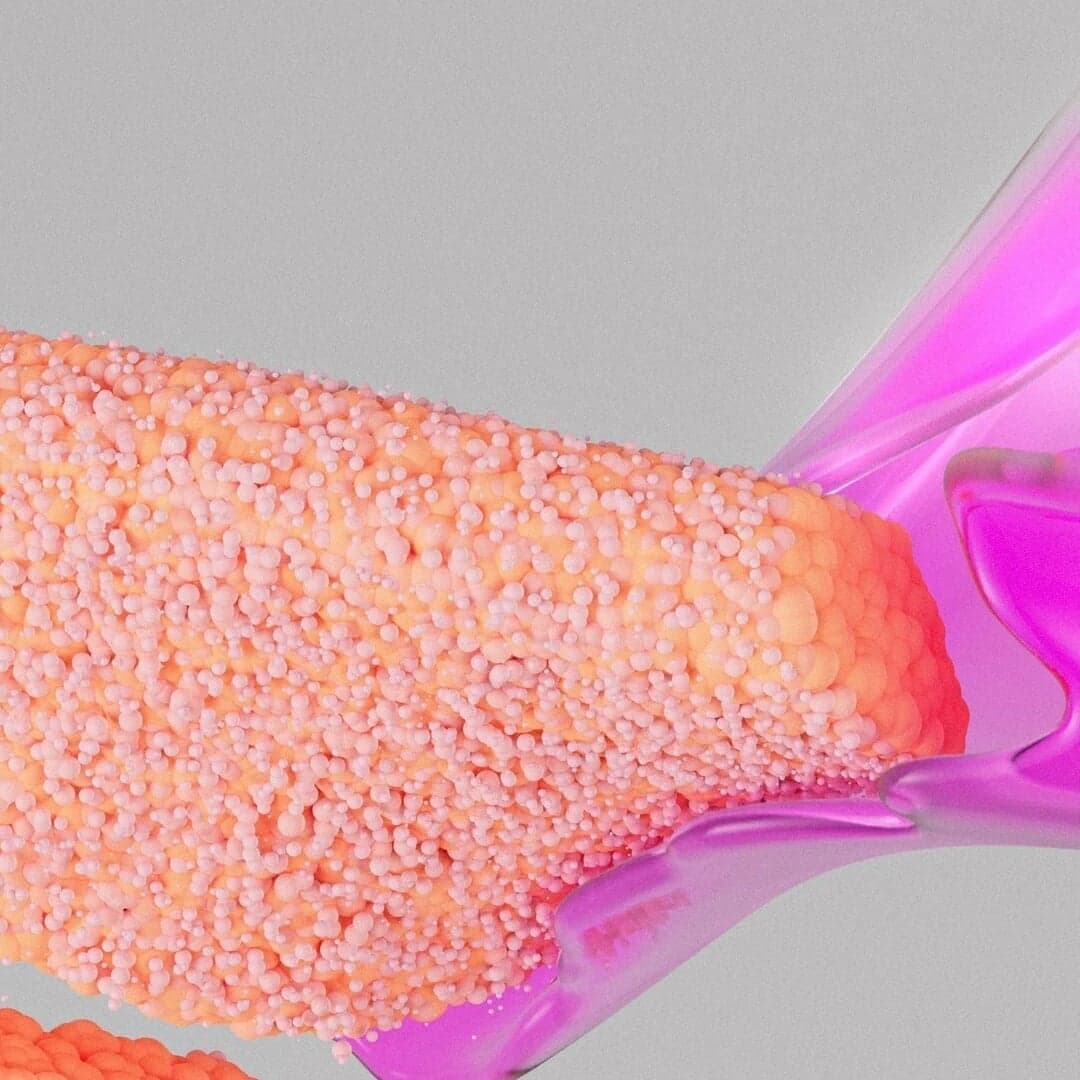Interdisciplinary Brand Expression for Covestro