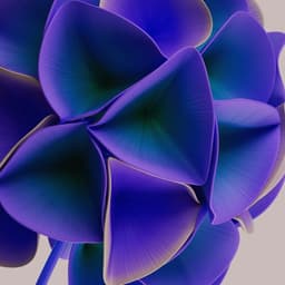 Allspring - Colors And The Kids design work cover image