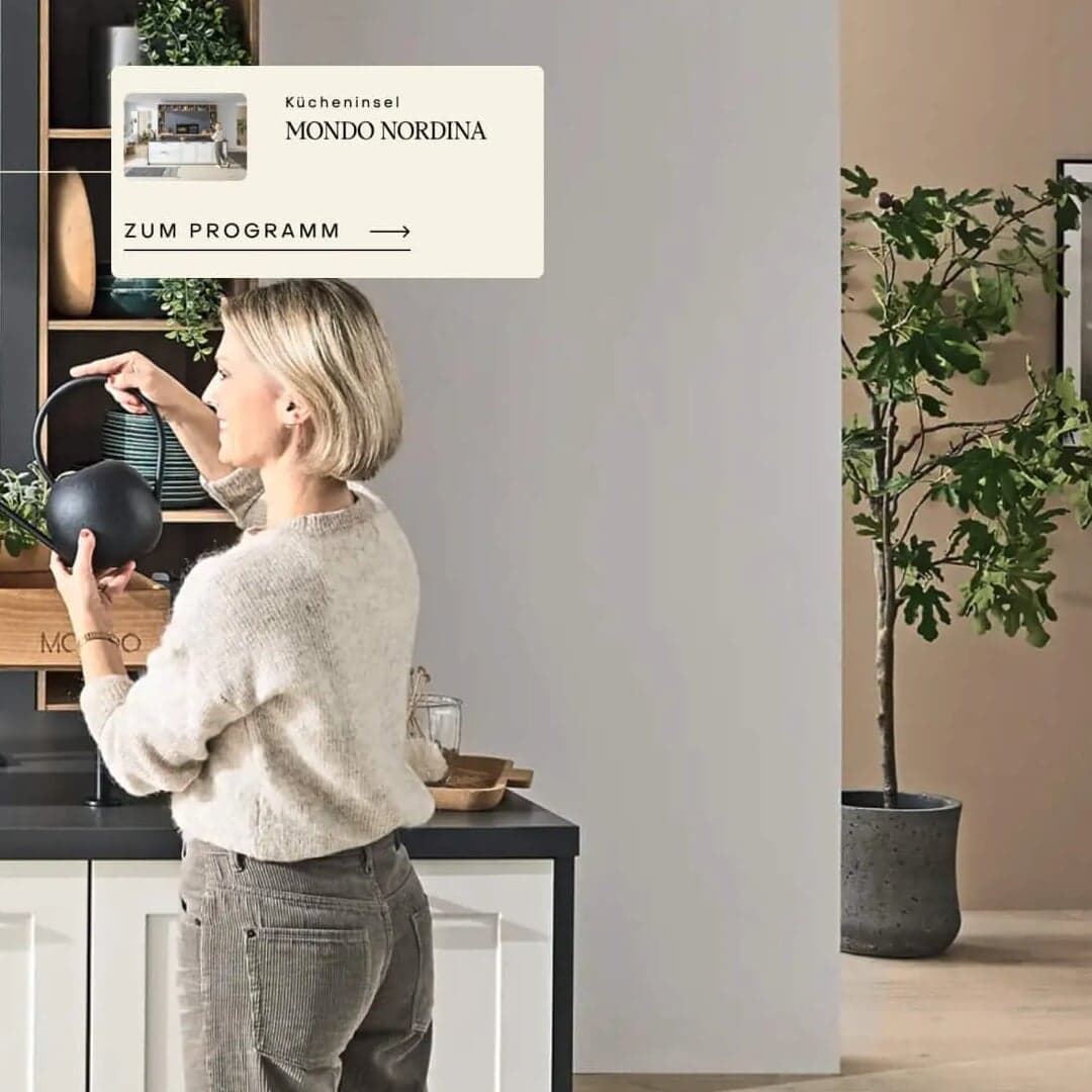 Rebranding Furniture Company Mondo
