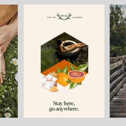 Annual Campaign And Experience Design For Wyld Canna cover image