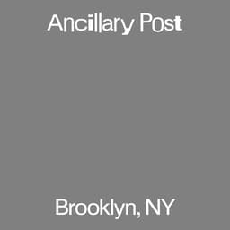 Ancillary Post - Daniel Wenzel design work cover image