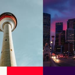 Brand Identity For Calgary Wild Fc cover image