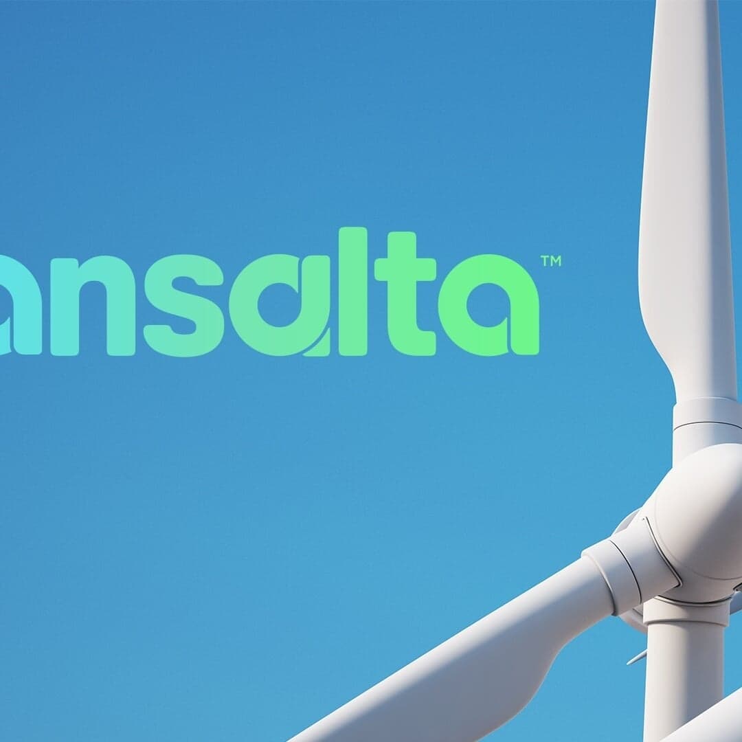 Brand Identity For Transalta