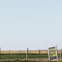 Annual Report Design For Alberta Cancer Foundation cover image