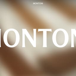Brand Identity and Digital Platform for Montoni cover image