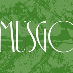 Visual Identity For Musgo Architecture And Landscaping Studio cover image