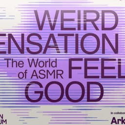 Campaign And Exhibition Identity For The Design Museum’s Asmr Show cover image