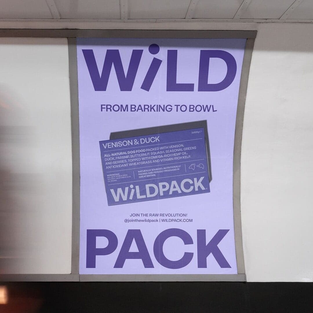 Brand Identity For Wild Pack
