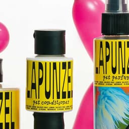 Identity And Packaging For Vegan Pet Cosmetics Brand cover image