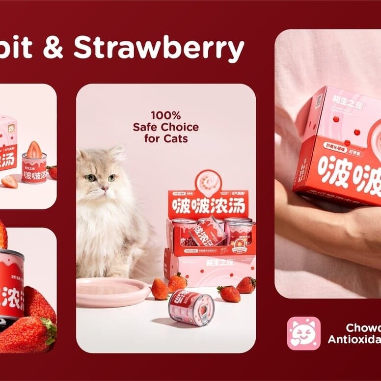 Packaging Design for Bobo Broth Can Pet Food