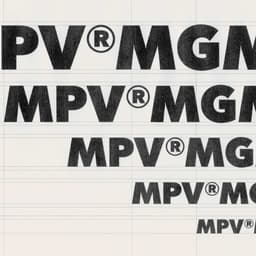 Brand Identity For Mpv Mgmt - thumbnail 1