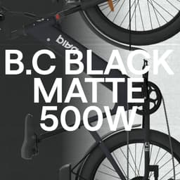 Brand Identity For Baiq Electric Mobility cover image