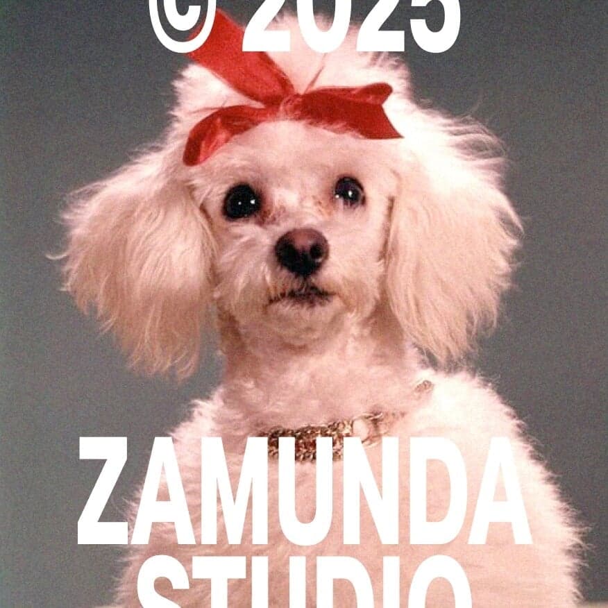 Zamunda 2