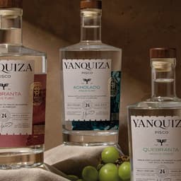 Brand Identity And Strategy For Yanquiza cover image