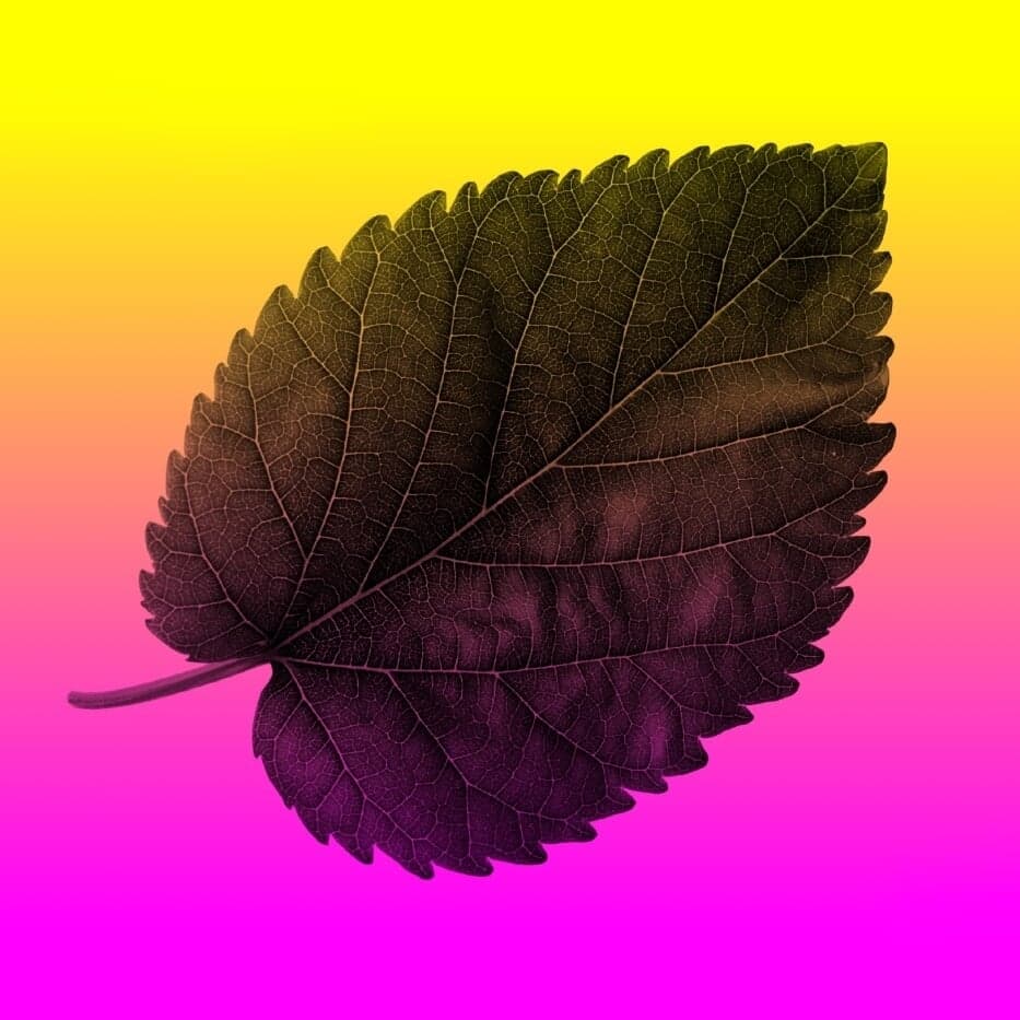 Identity And Communication System For Living Nature Pavilion