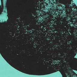 Editorial Design For Il Gaddus Literary Magazine cover image