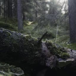 Global Campaign For Visit Sweden On Airbnb cover image