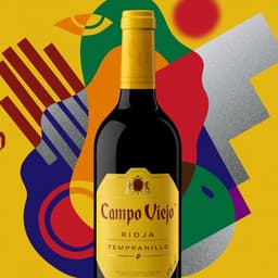 Brand Transformation For Campo Viejo Wine cover image