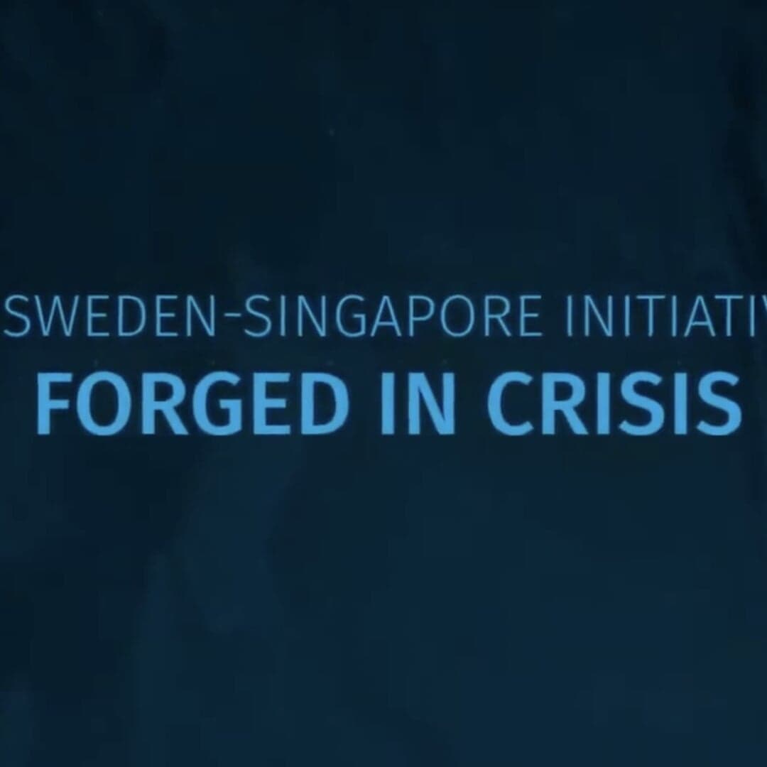 Cross-cultural Campaign For The Singapore-sweden Initiative