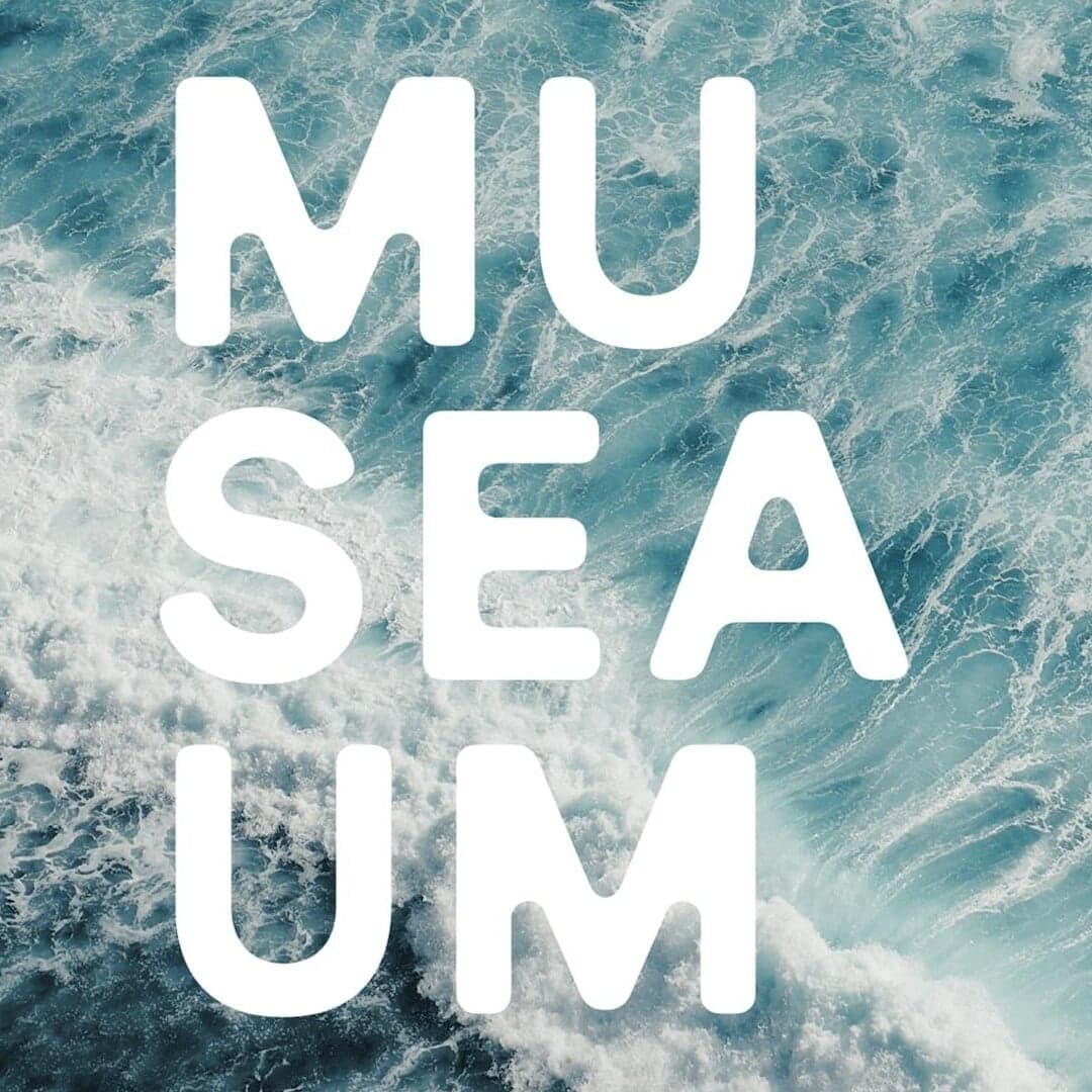 Brand Repositioning For The Australian National Maritime Museum