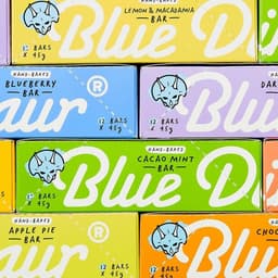 Brand Repositioning And Packaging Redesign For Blue Dinosaur cover image