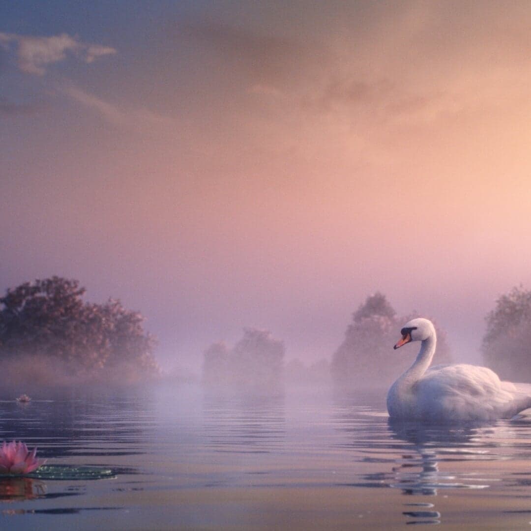 Experimental Visual Identity For Lacoste