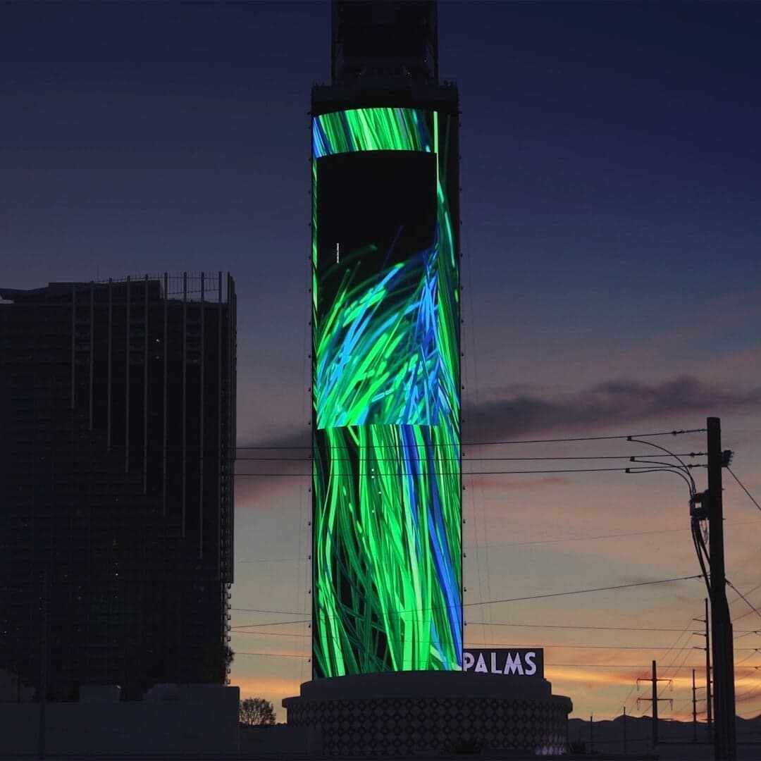 Motion Identity For Palms Nightclub