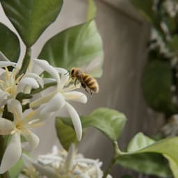 Immersive Campaign For Nespresso cover image