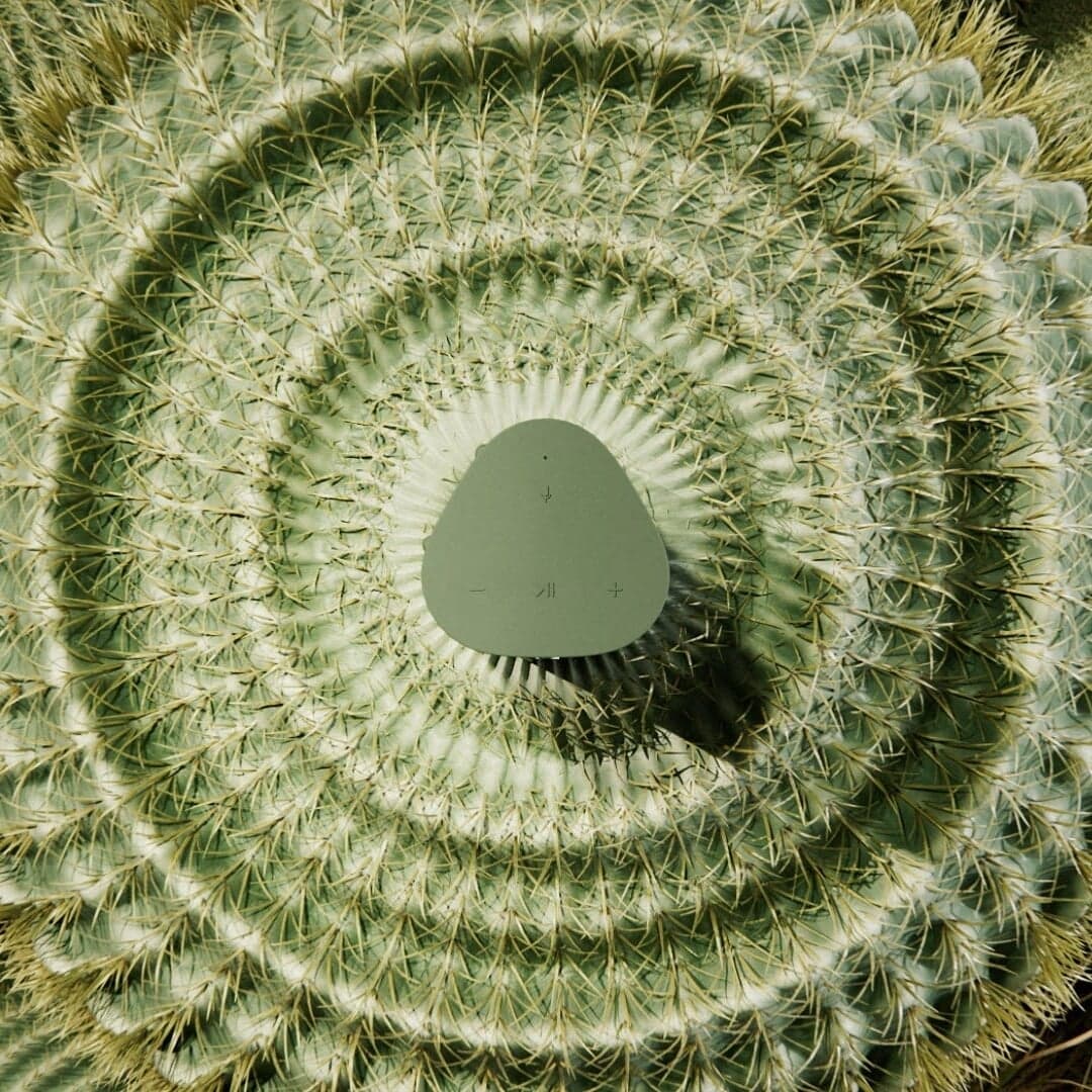 Motion Identity For Sonos