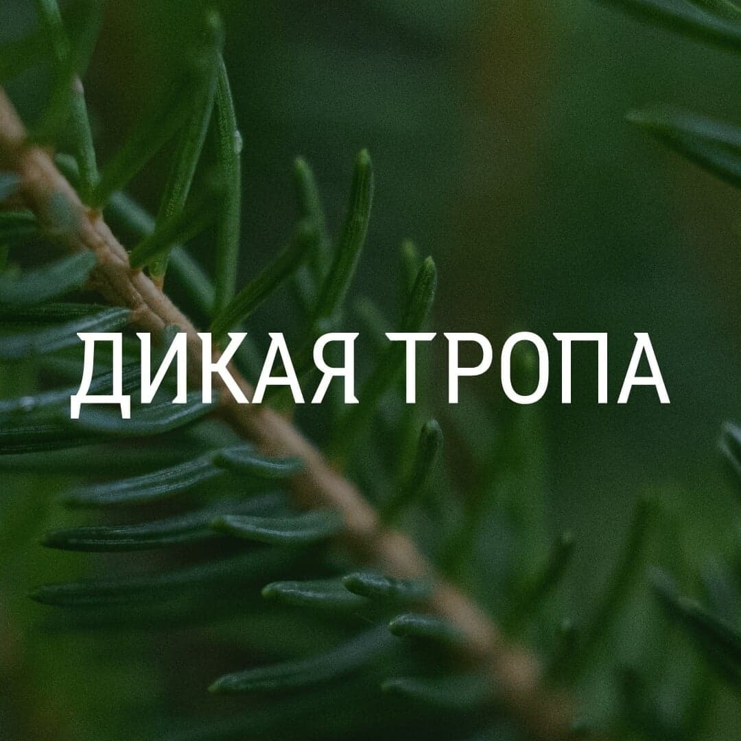 Brand Identity For Dikaja Tropa Tourist Complex