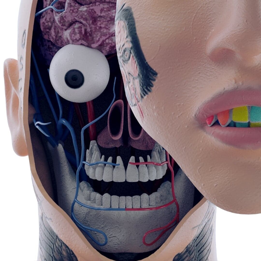 Motion Design For Showtime’s Supervillain Docuseries