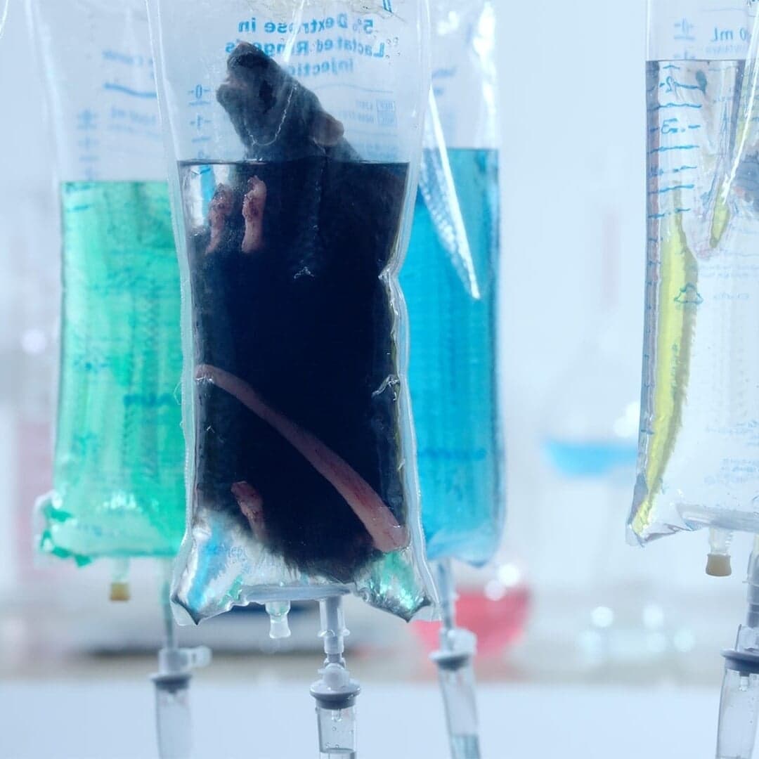 Main Title And Interstitials For Showtime Documentary Supervillain: The Making Of Tekashi 6ix9ine