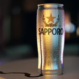 Animated Commercial For Sapporo Lounge cover image