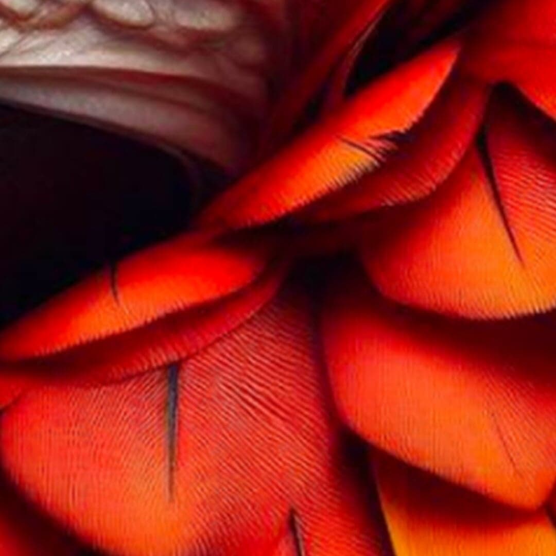 Digital Storytelling Platform For Microsoft Unlocked