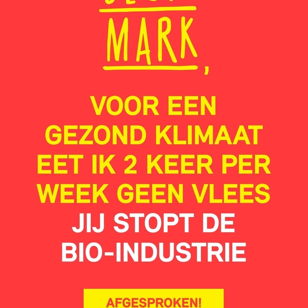 Greenpeace Beste Mark