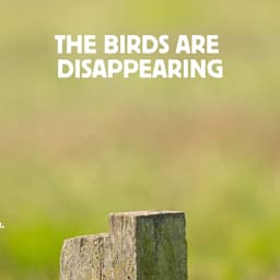 Awareness Campaign For Vogelbescherming Nederland cover image