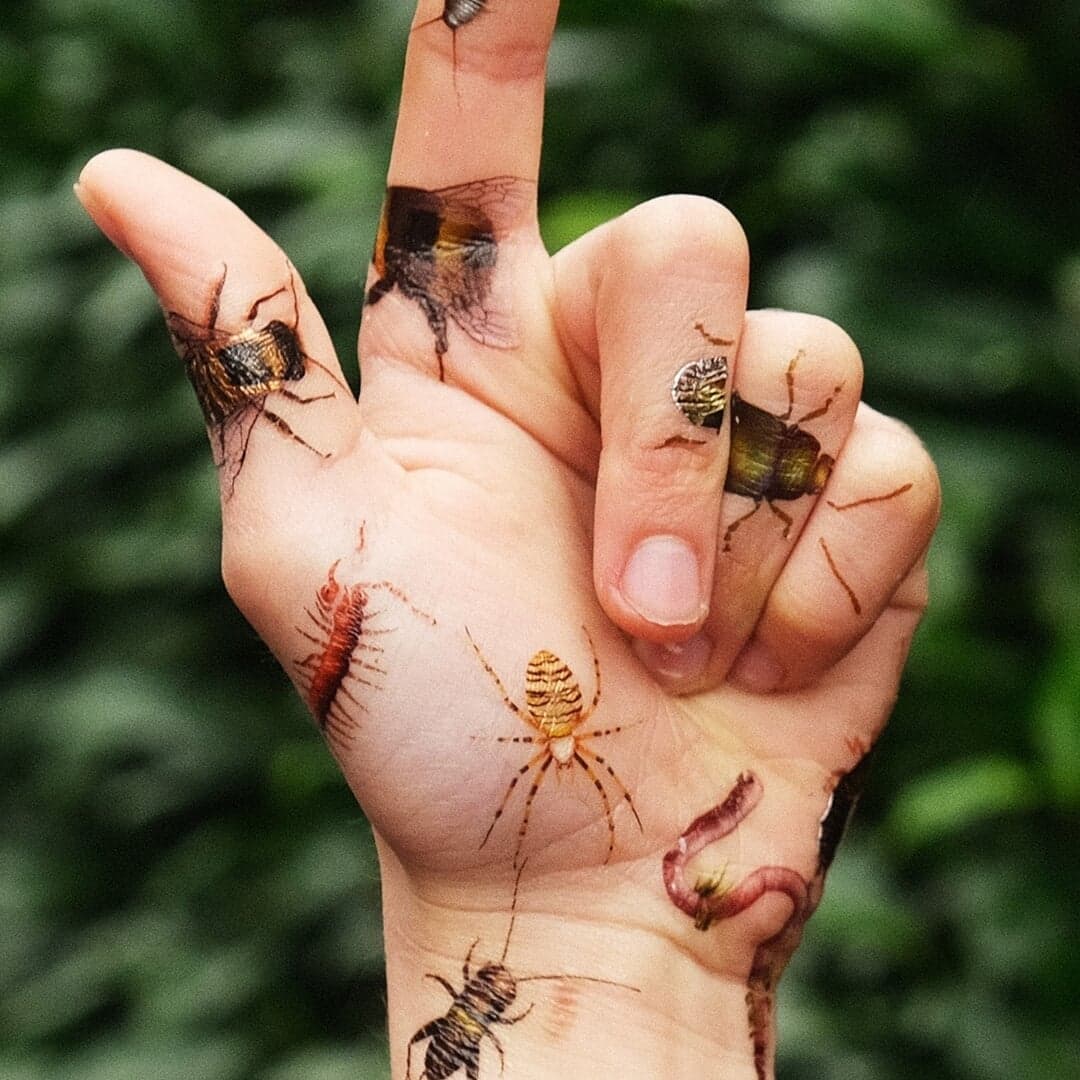Online Campaign for Naturalis Insect Promotion