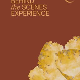 Identity and Website for European Cultural Academy - thumbnail 1