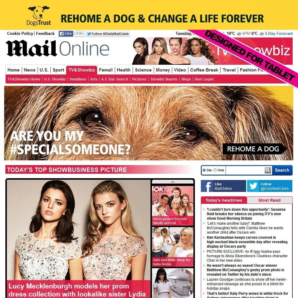 Integrated Campaign For Dogs Trust #specialsomeone